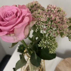 IMG_8649