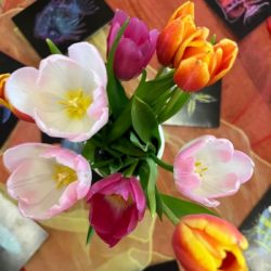 SHINE – So arbeite ich