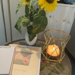 Shine Prozessbegleitung