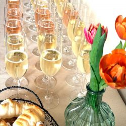 WhatsApp Image 2026-03-22 at 15.33.54